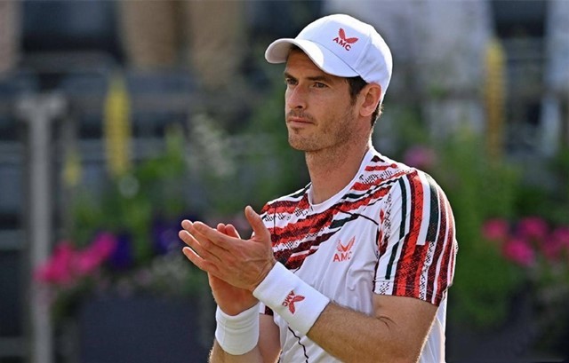 供了绝佳的 供了绝佳的